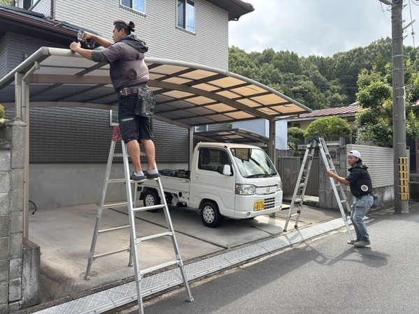 S__51339271_0_コピー